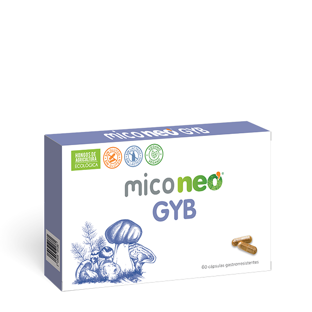 MICONEO GYB - imagen oficial del producto