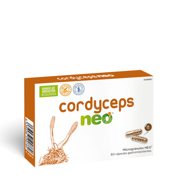 CORDYCEPS NEO - imagen oficial del producto