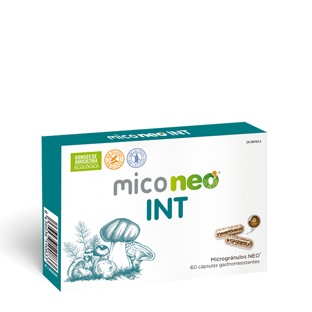 MICONEO INT - imagen oficial del producto